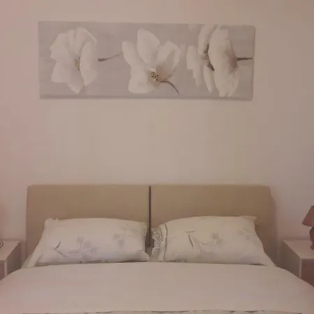 Apartment Oliva Supetarska Draga
